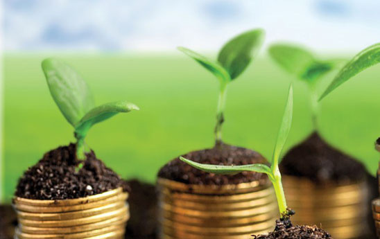 Việt Nam có cơ hội đón sóng tài chính xanh