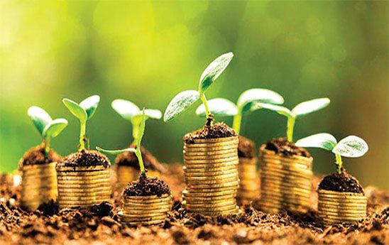 Thực trạng tín dụng xanh tại các ngân hàng thương mại Việt Nam