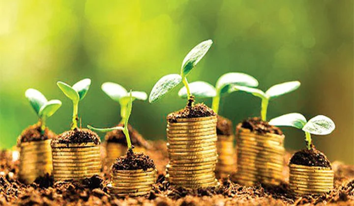 Bảo hiểm tiền gửi góp phần “xanh hóa” hoạt động tài chính - ngân hàng