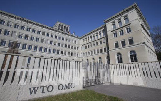 WTO nâng dự báo tăng trưởng thương mại toàn cầu