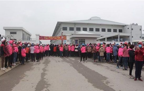 Hỗ trợ doanh nghiệp có nguy cơ phá sản, nợ lương để giảm tranh chấp lao động