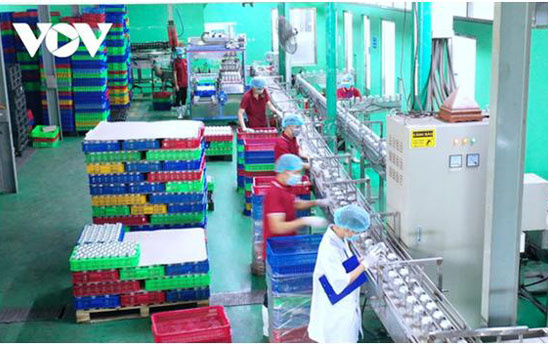 Hỗ trợ doanh nghiệp phục hồi sản xuất, phải có chính sách tài khoá bằng tiền thật