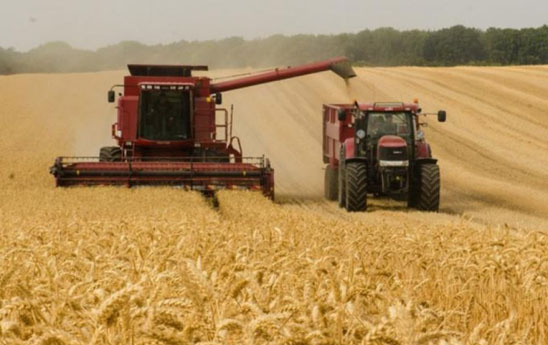 Liên Hợp Quốc cảnh báo Ukraine không có đủ năng lực dự trữ ngũ cốc do xuất khẩu bị đình trệ