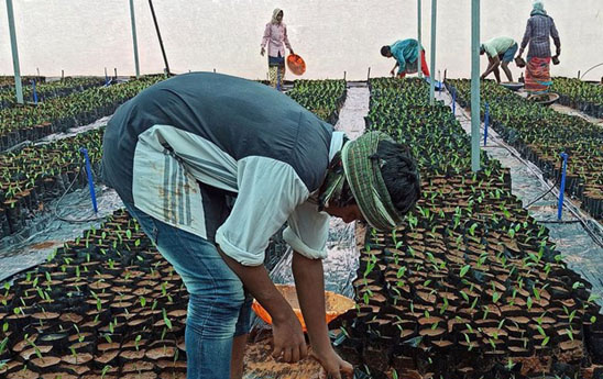 Malaysia giải ngân hơn 4 tỷ USD cho chương trình trợ cấp tiền lương