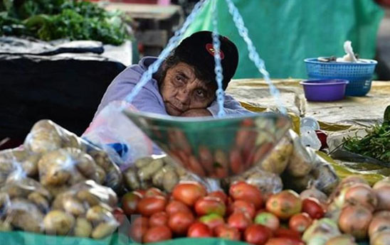 Nguy cơ khủng hoảng an ninh lương thực kéo dài tới năm 2023