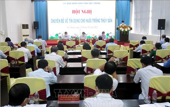 Tăng khả năng tiếp cận vốn và tín dụng cho người nuôi tôm