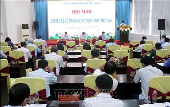 Tăng khả năng tiếp cận vốn và tín dụng cho người nuôi tôm