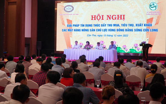 Tiếp tục khơi dòng tín dụng cho nông sản đồng bằng sông Cửu Long