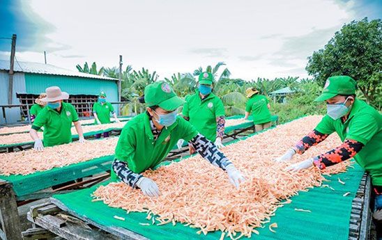 Tín dụng chính sách: Công cụ hỗ trợ trực diện cho phụ nữ làm giàu