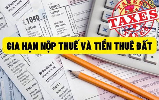 Gia hạn thời hạn nộp thuế và tiền thuê đất trong năm 2022