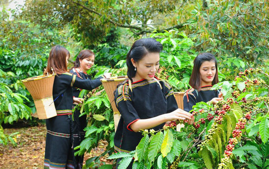 Kế hoạch hành động của ngành ngân hàng nhằm phát triển kinh tể - xã hội vùng Tây Nguyên