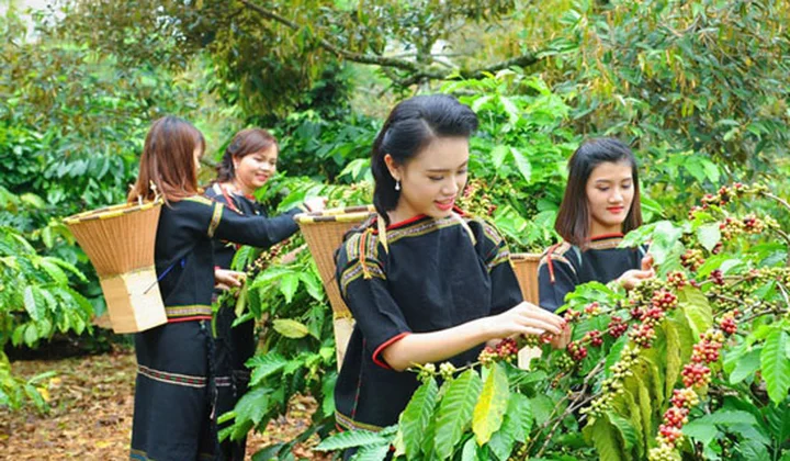 Kế hoạch hành động của ngành ngân hàng nhằm phát triển kinh tể - xã hội vùng Tây Nguyên