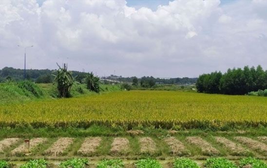 5 điều kiện, tiêu chí cho phép chuyển mục đích sử dụng đất