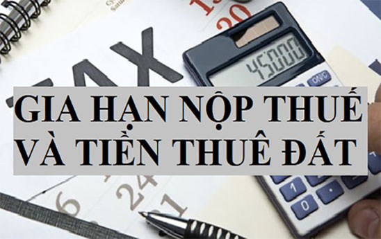 4 nhóm đối tượng được gia hạn thời hạn nộp thuế và tiền thuê đất năm 2023 từ 3 đến 6 tháng