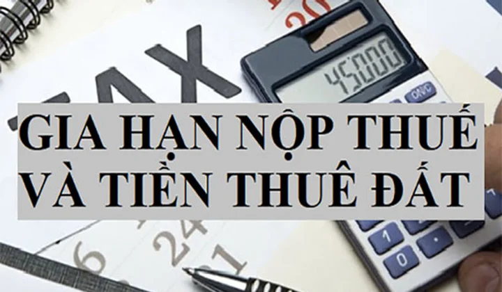 4 nhóm đối tượng được gia hạn thời hạn nộp thuế và tiền thuê đất năm 2023 từ 3 đến 6 tháng