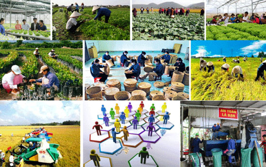 Kế hoạch của ngành ngân hàng trong việc tiếp tục đổi mới, phát triển và nâng cao hiệu quả kinh tế tập thể