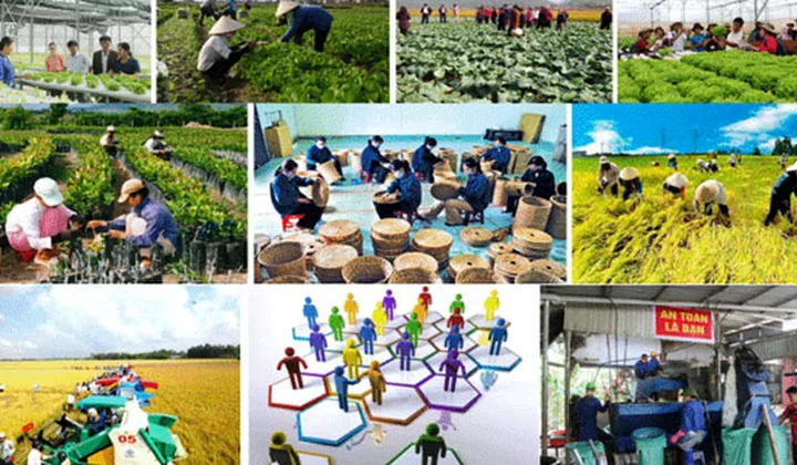 Kế hoạch của ngành ngân hàng trong việc tiếp tục đổi mới, phát triển và nâng cao hiệu quả kinh tế tập thể