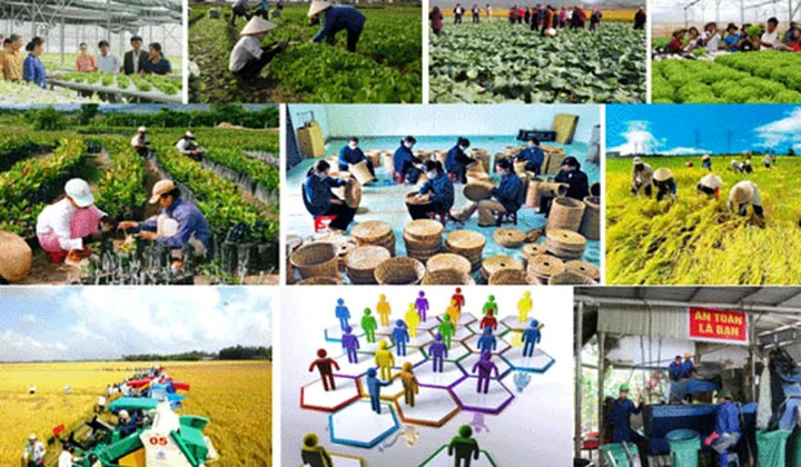 5 nhiệm vụ và giải pháp chủ yếu phát triển kinh tế tập thể