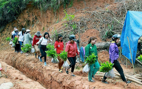 ABBank với hành trình Tết An Bình “Gieo mầm xanh hy vọng”