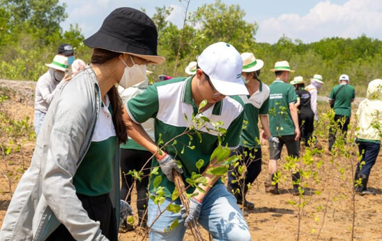 Vietcombank Tân Sơn Nhất hưởng ứng chương trình trồng 1 tỷ cây xanh