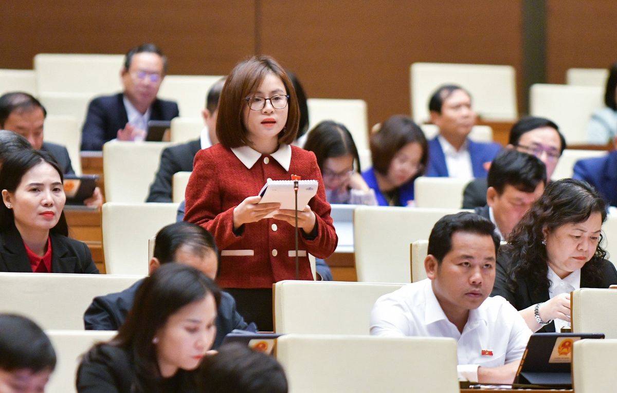 Đại biểu Nguyễn Việt Hà (Tuyên Quang) đề nghị cần có các quy định để TCTD xử lý nợ xấu