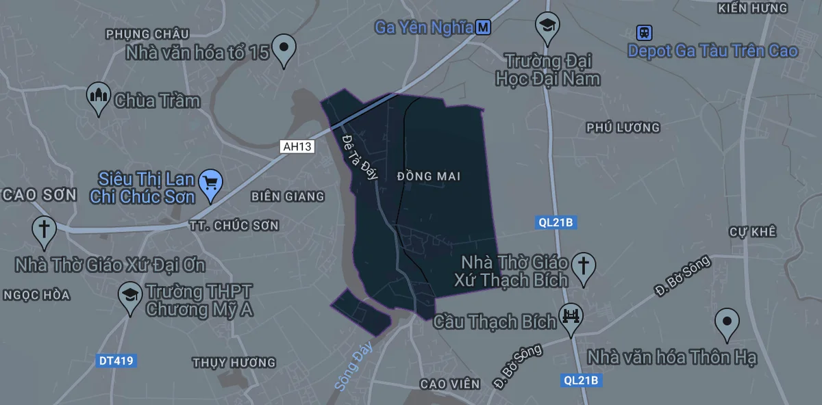 đấu giá