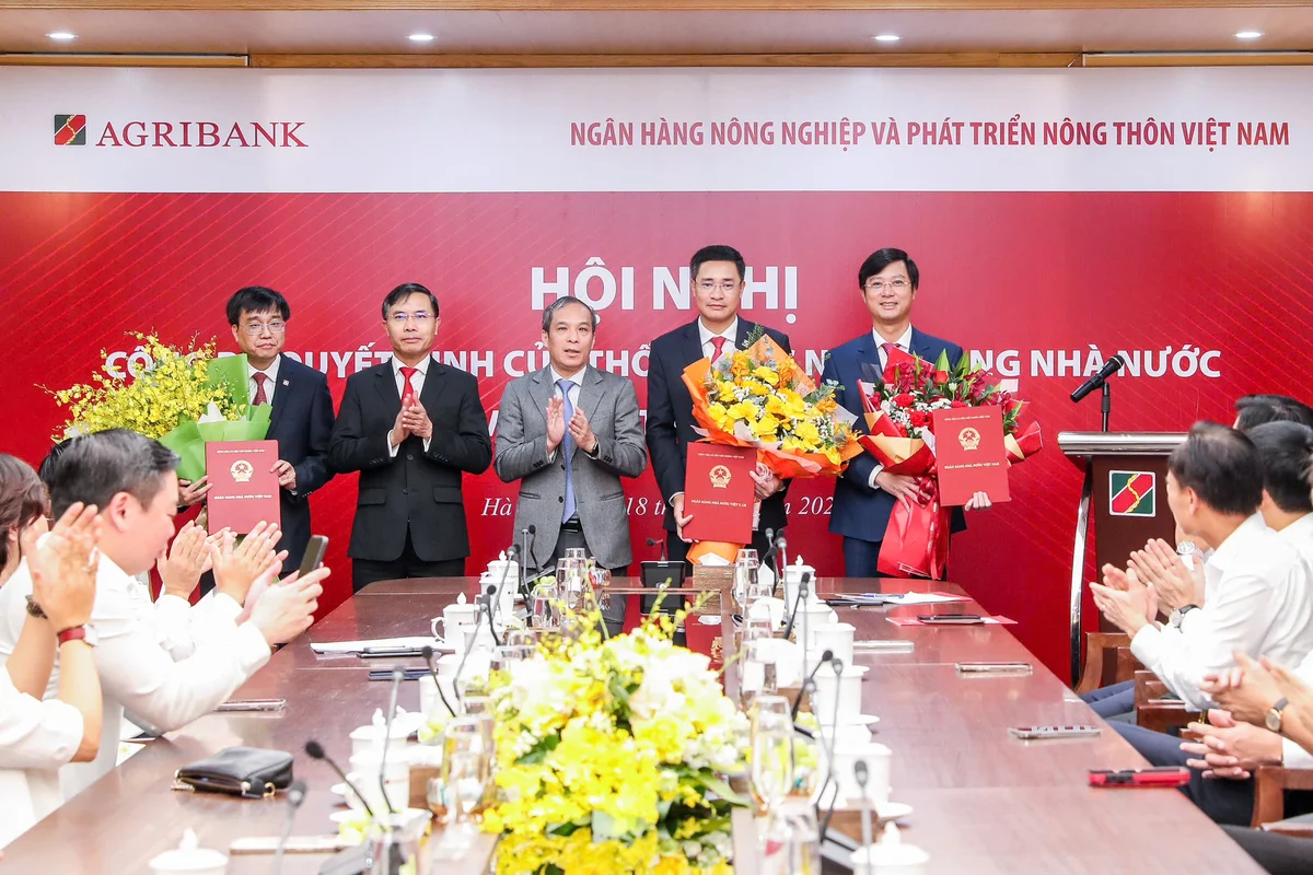 Phó Tổng Giám đốc