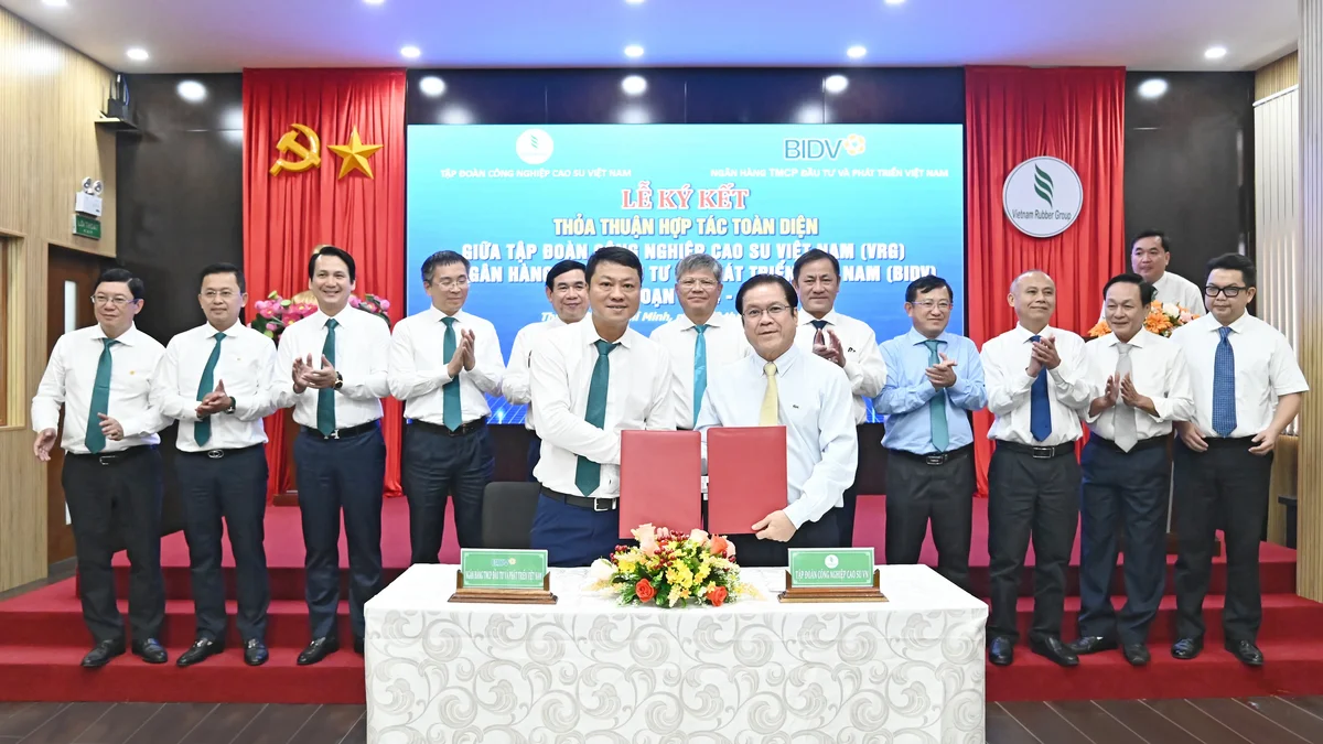 hợp tác