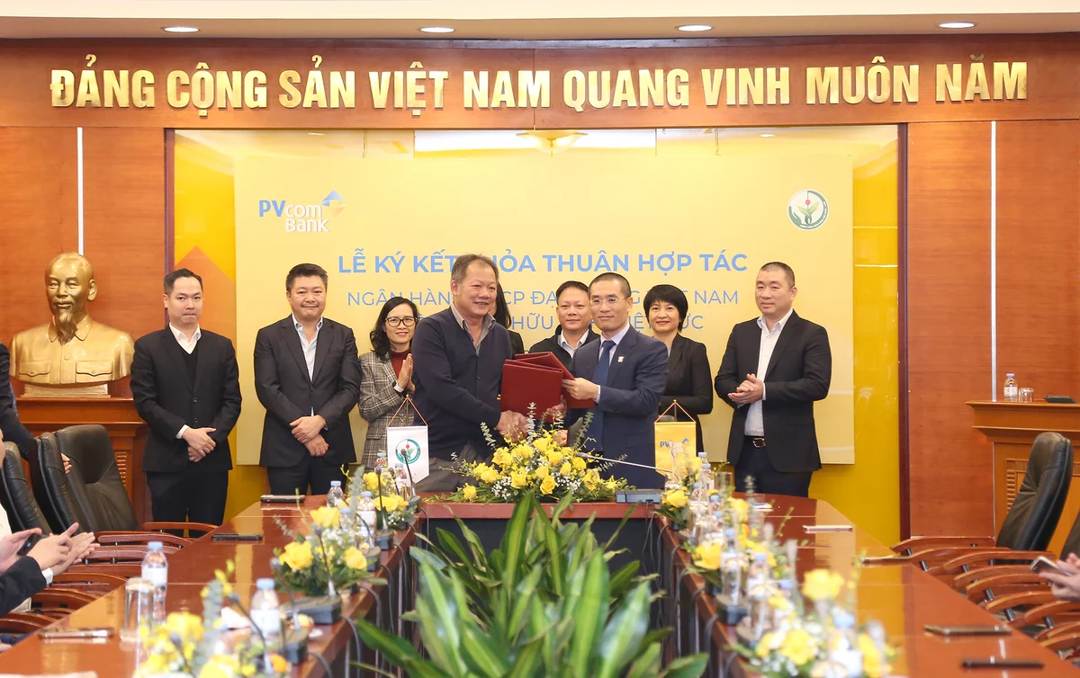 hợp tác