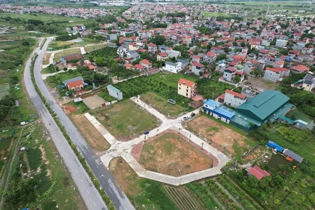 đấu giá