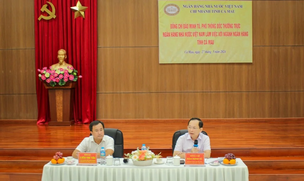 Phó Thống đốc Thường trực Đào Minh Tú chủ trì buổi làm việc