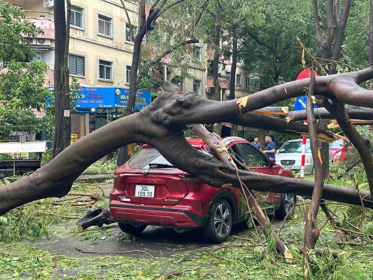 Typhoon Yagi