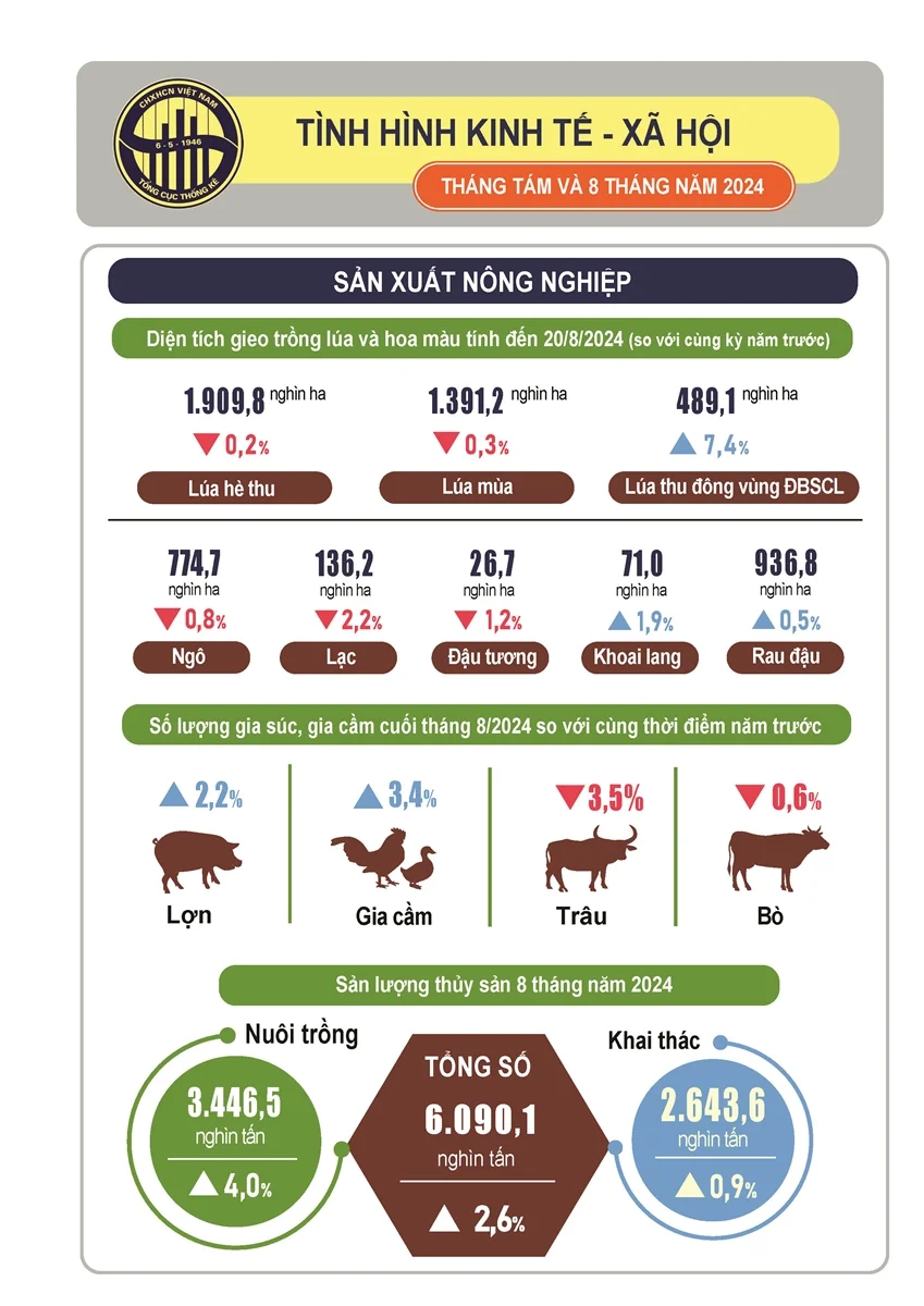Bản tin Kinh tế