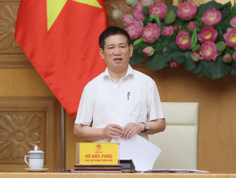 Phó Thủ tướng Hồ Đức Phớc phát biểu chỉ đạo tại cuộc họp - Ảnh: VGP
