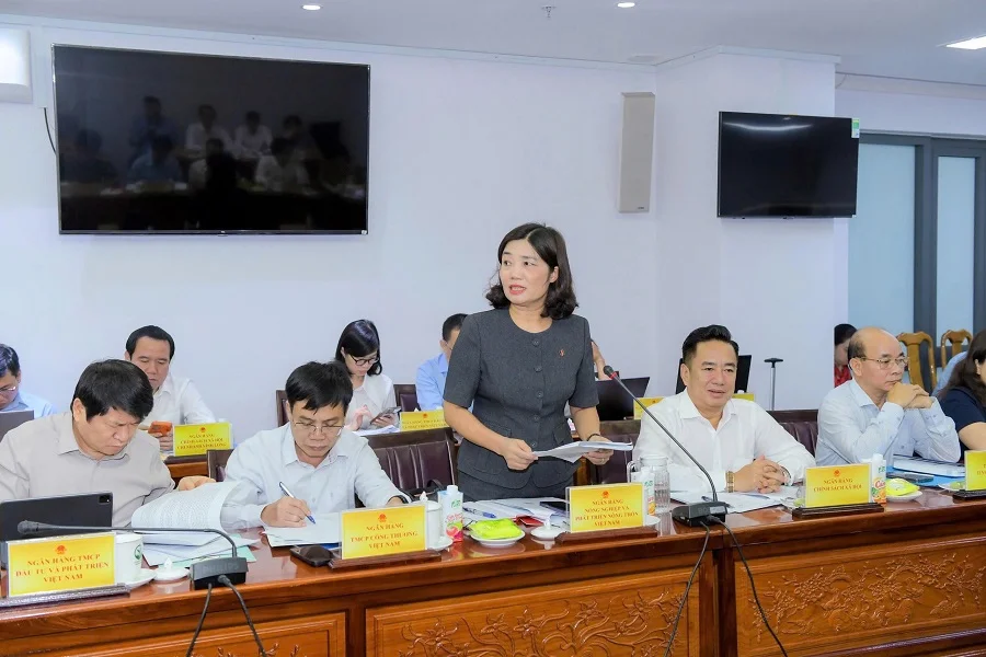 Các ngân hàng thương mại lớn tham gia giải đáp về cơ chế tiền tệ, ngân hàng với các doanh nghiệp