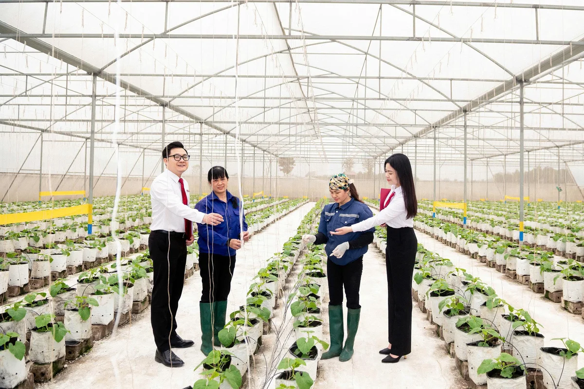 Agribank tăng cường nguồn lực cho khu vực “Tam nông” khẳng định cam kết đồng hành cùng các địa phương trong việc lan tỏa tài chính toàn diện, hướng đến một nền kinh tế bao trùm và phát triển bền vững