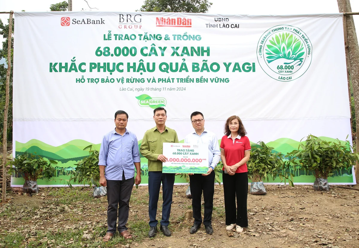Trồng rừng là hoạt động được SeABank chú trọng trên hành trình net-zero.