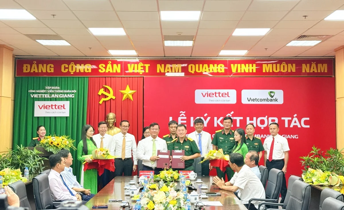 hợp tác
