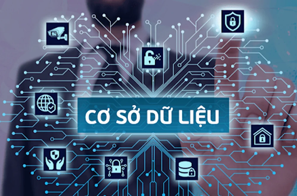 cơ sở dữ liệu