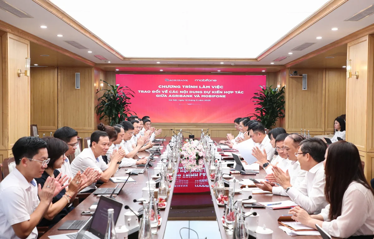 hợp tác