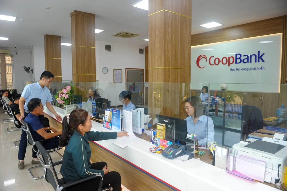 vay hợp vốn