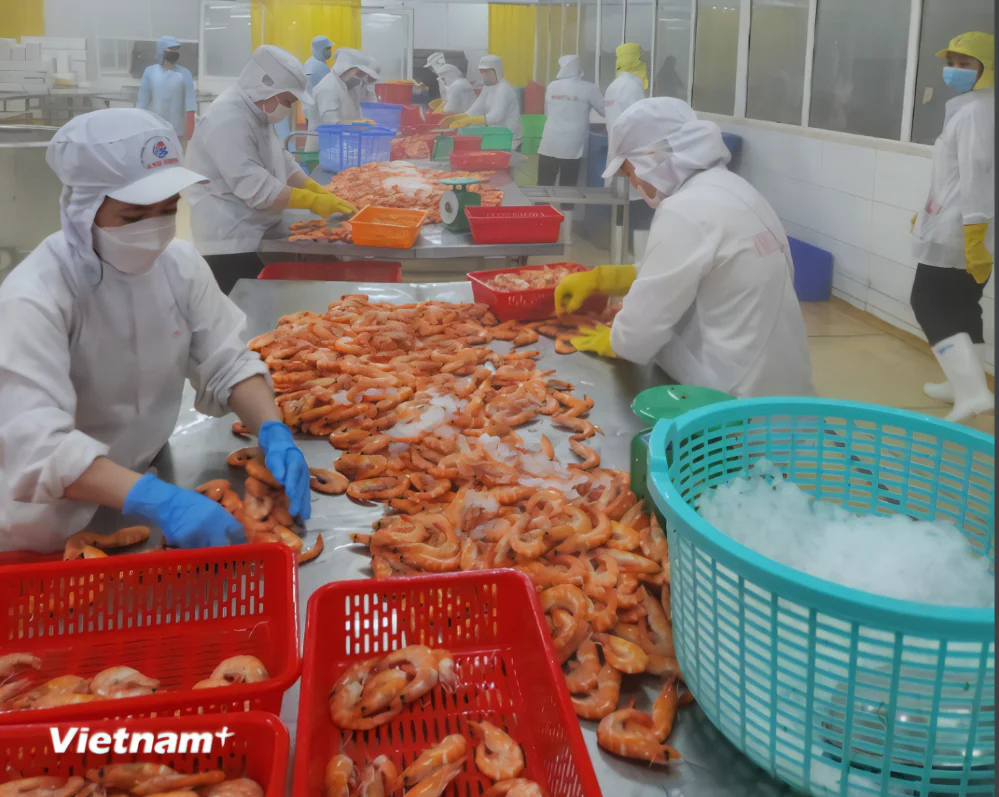 Với tốc độ tăng hiện tại, nhiều tổ chức phân tích kỳ vọng mục tiêu tăng trưởng tín dụng 16% cho cả năm 2025 là hoàn toàn khả thi, thậm chí có thể đạt mức 17%-18% nếu các động lực tăng trưởng tiếp tục được duy trì. (Ảnh: Vietnam+)