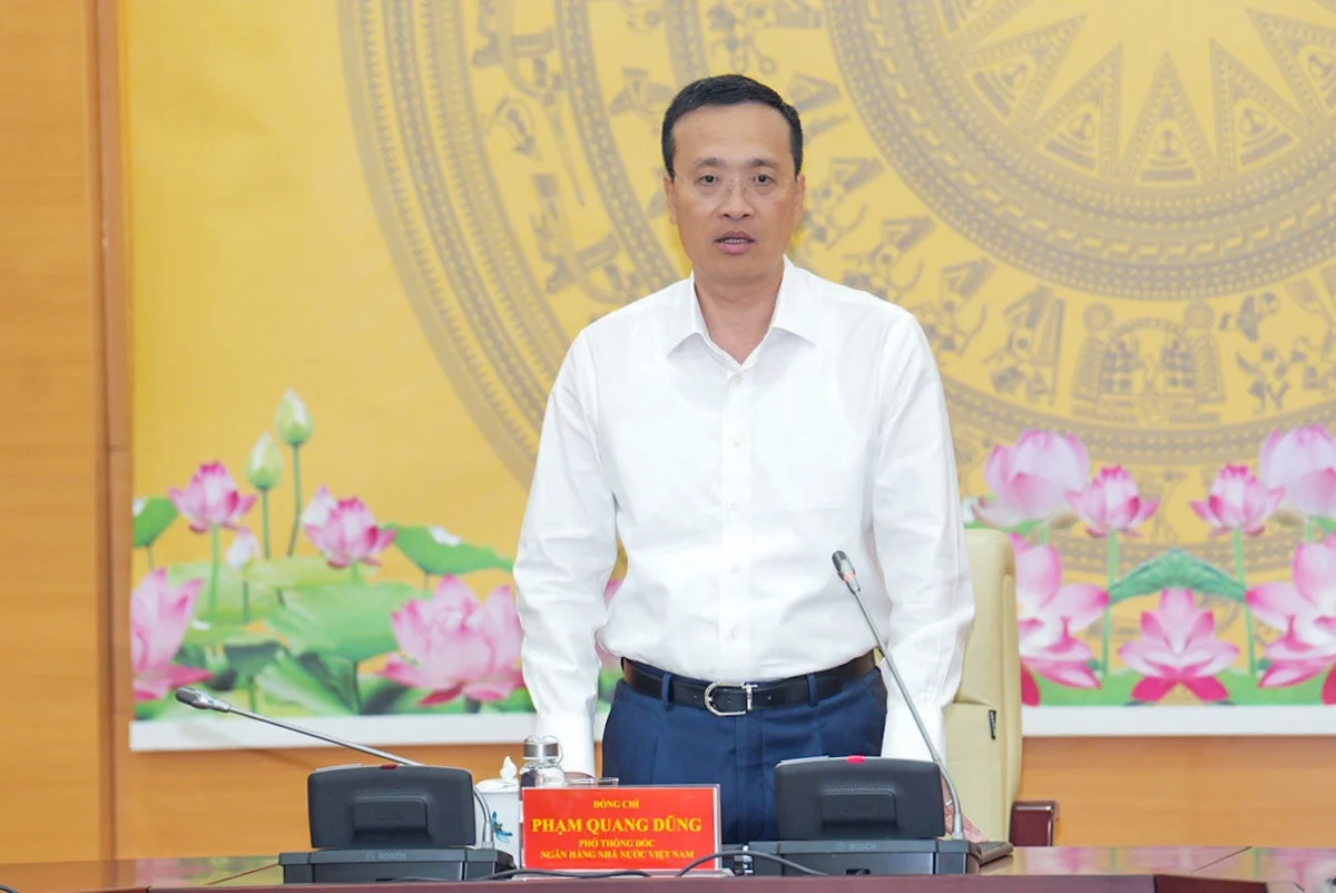 Phó Thống đốc NHNN Phạm Quang Dũng phát biểu tại cuộc họp