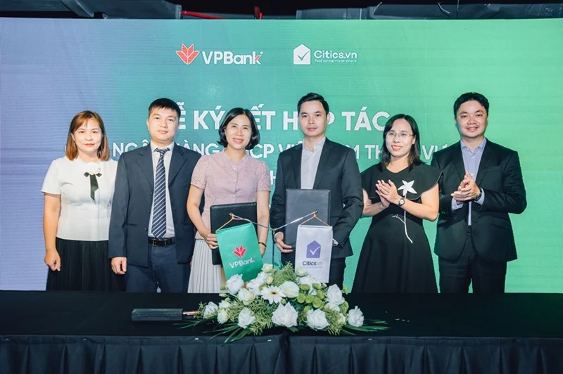 hợp tác