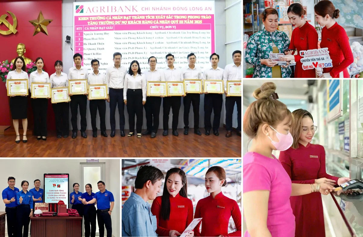 Nhìn lại hành trình một năm qua, mỗi mô hình đổi mới hay các cuộc thi đua nội bộ đều là kết quả của sự kiên trì và nỗ lực tự thân của mỗi đoàn viên