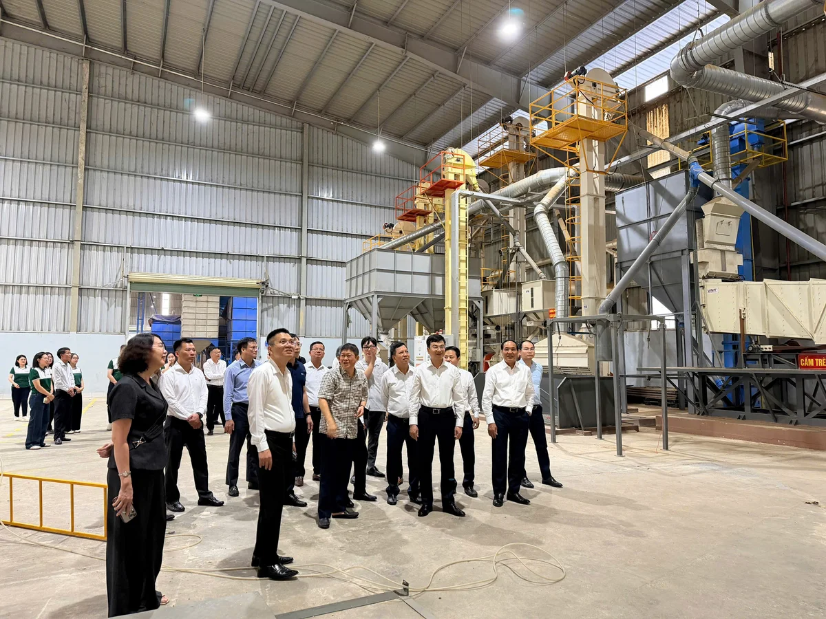 Phó Thống đốc Phạm Thanh Hà cùng Đoàn công tác của NHNN thăm xưởng sản xuất, chế biến của Công ty Cổ phần Chế biến Cà phê Sơn La
