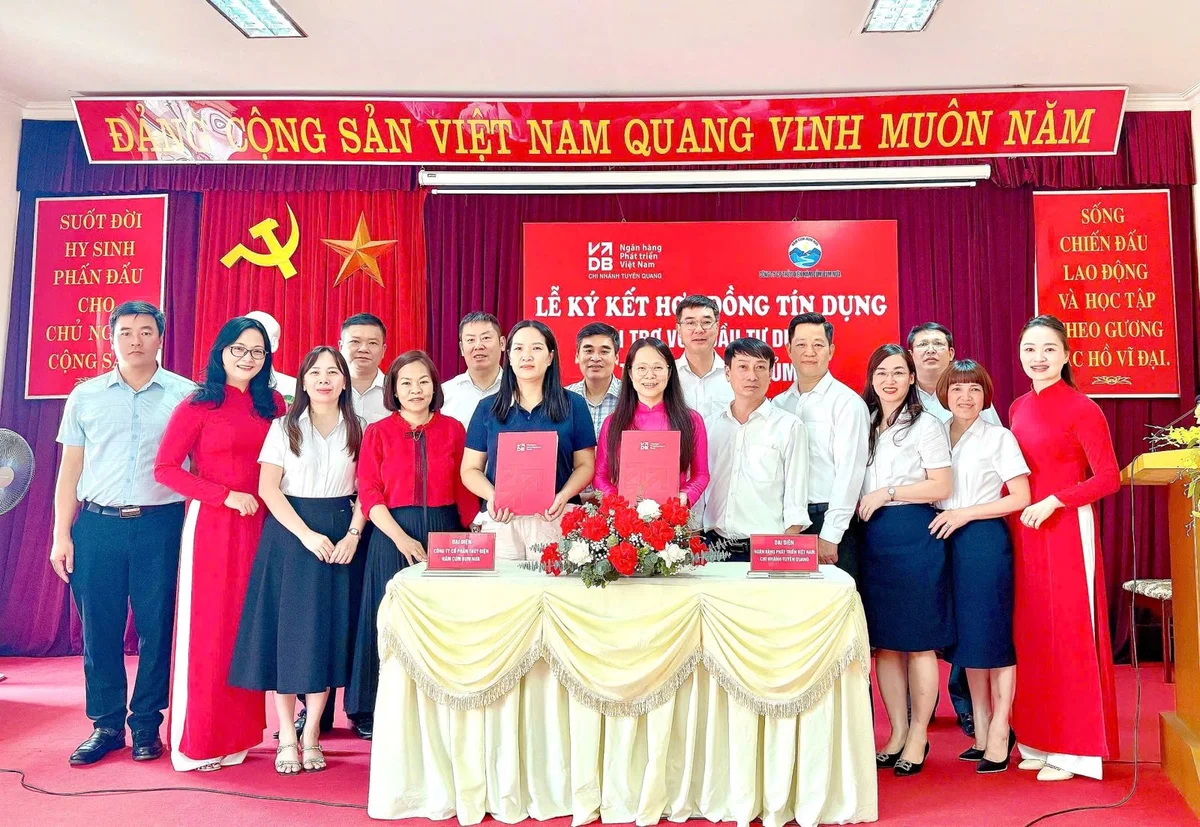thủy điện