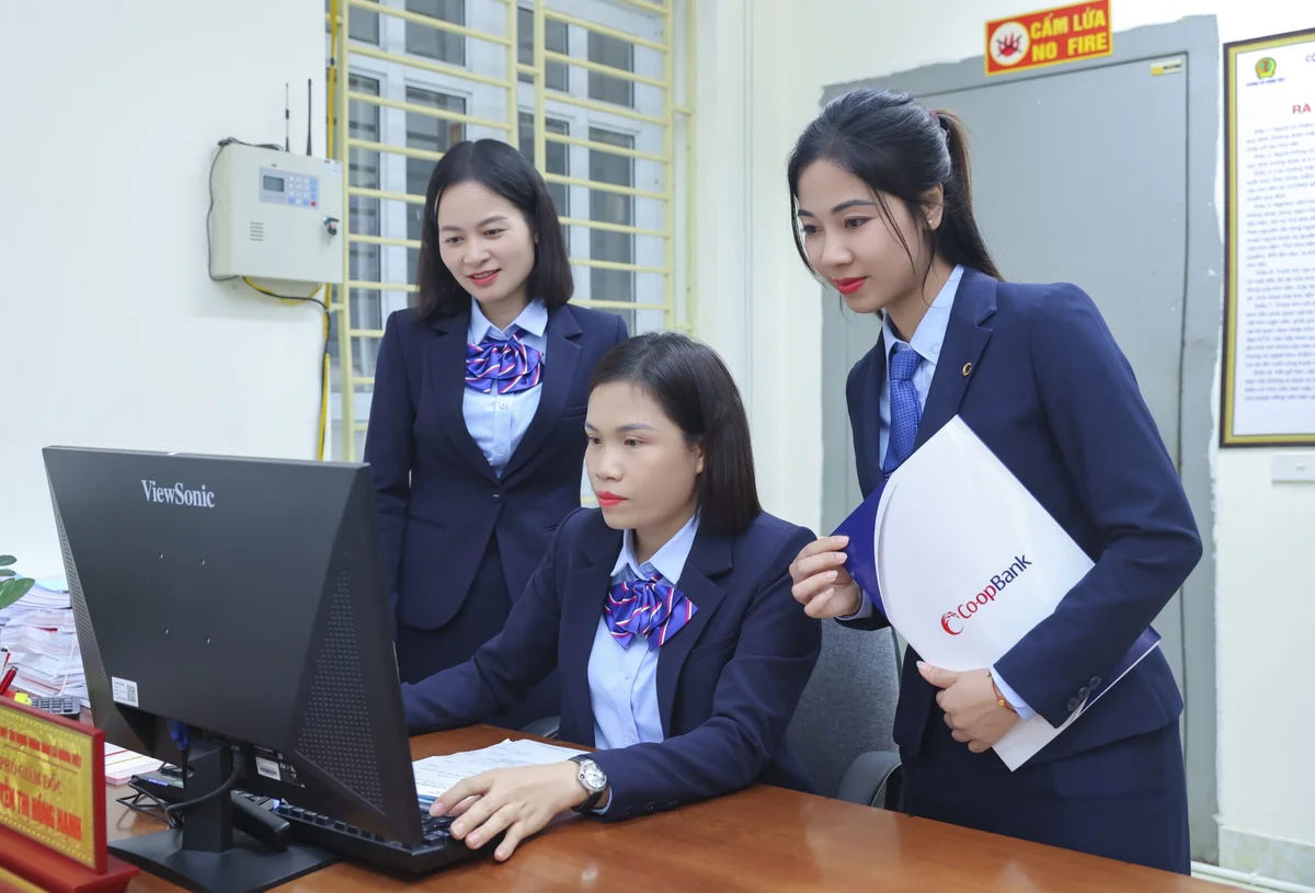 Cán bộ Co-opBank hướng dẫn QTDND triển khai Payment Hub