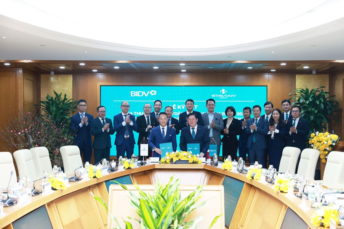 hợp tác