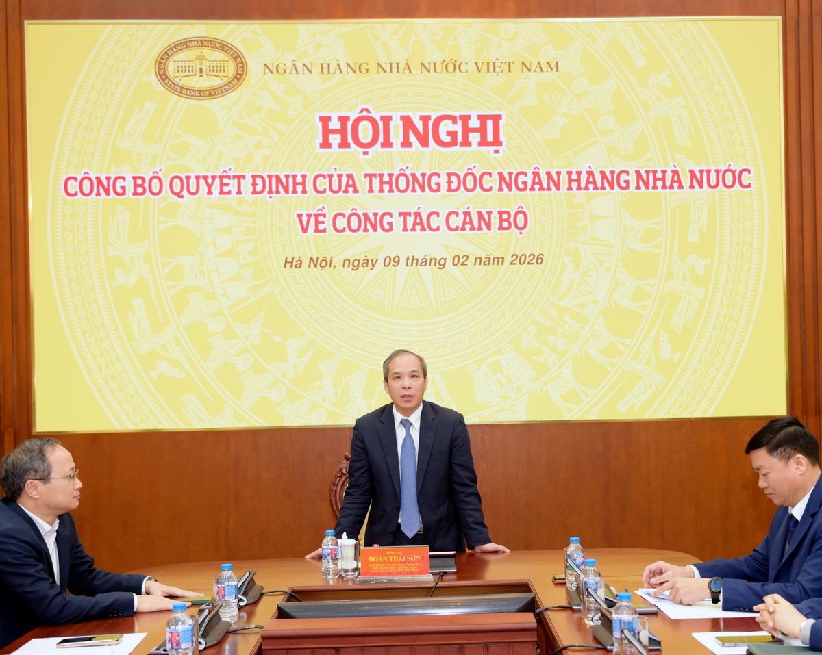 Phó Thống đốc Thường trực Đoàn Thái Sơn phát biểu